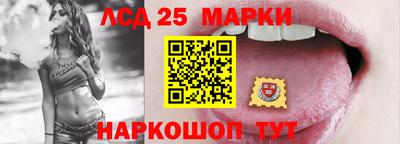гашик Можайск