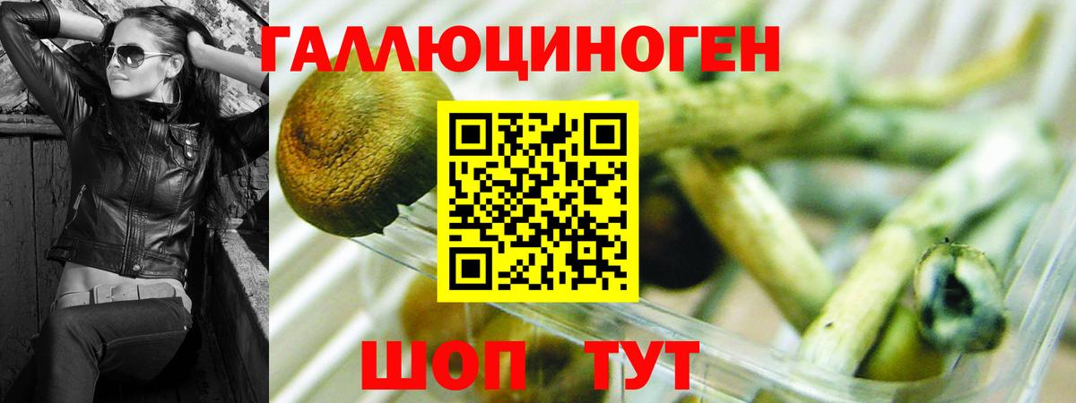 Галлюциногенные грибы мухоморы Сургут
